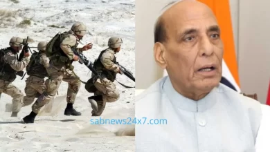 Rajnath Singh gave indigenous weapons to the army