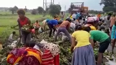 Humanity died: Without rescue the driver carrying all the banana's