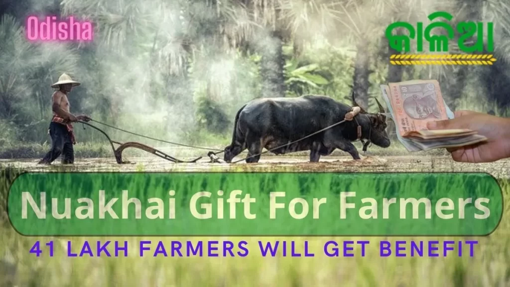 41 lakh farmers will get Kalia Yojana Money