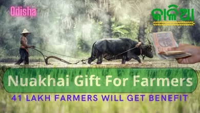 41 lakh farmers will get Kalia Yojana Money