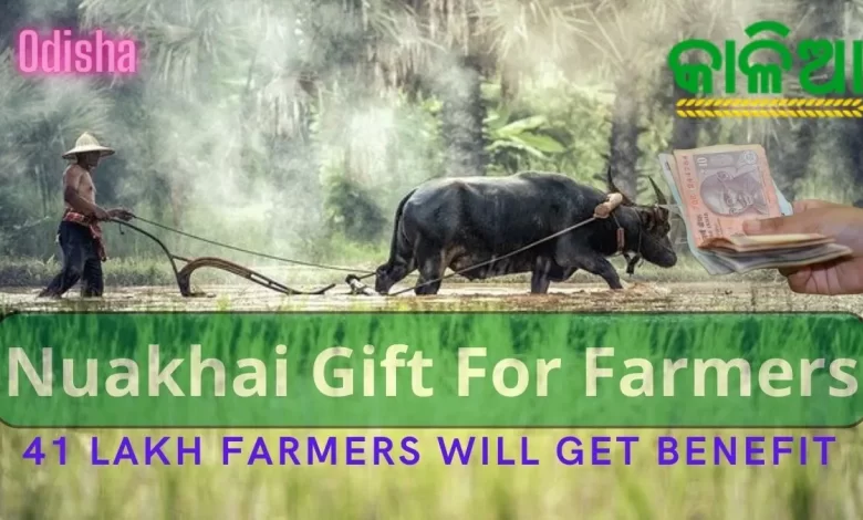 41 lakh farmers will get Kalia Yojana Money