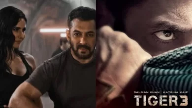 Salman Khan announced the release date of 'Tiger-3'