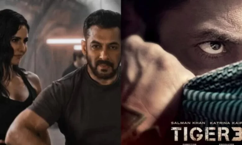 Salman Khan announced the release date of 'Tiger-3'