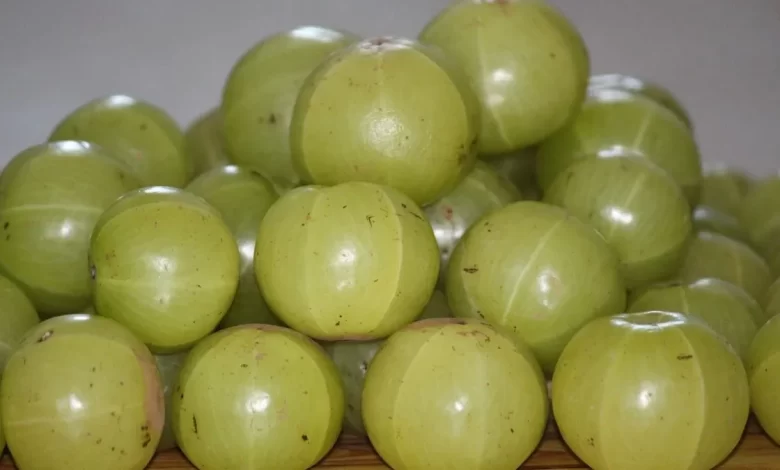 Why people like to drink Amla Juice and Know its health benefits