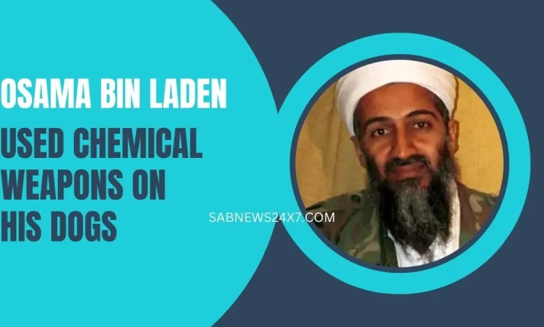 Osama Bin Laden