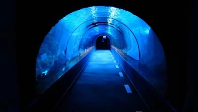 under-water tunnel