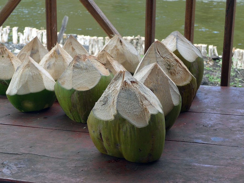 Benefits of coconut water