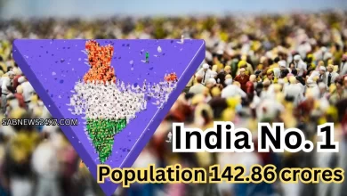 India's population