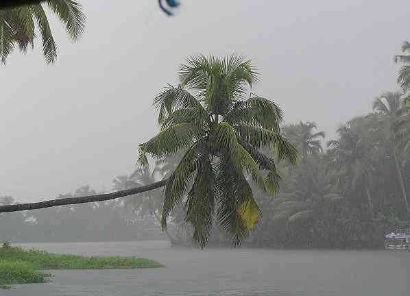 monsoon odisha