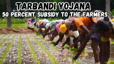 Tarbandi Yojana